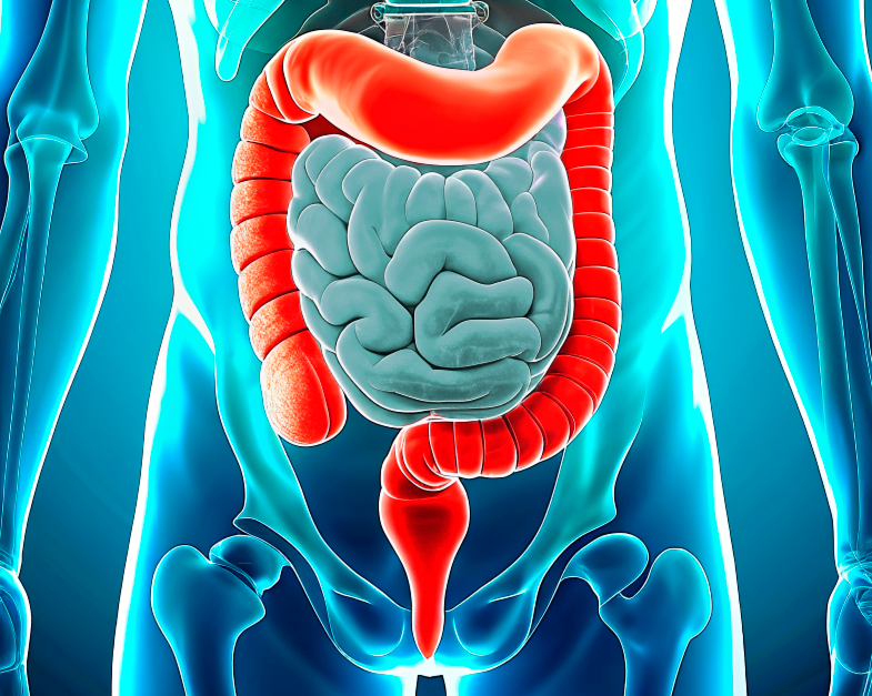 OLYMPUS, NBI, Колоноскопия, ФКС, эндоскопия кишки, Алексей Корнеев, лучший врач, лучший эндоскопист, полипы кишки, удаление полипов, рак кишки, подготовка кишки, боль в животе OLYMPUS, NBI, Колоноскопия, ФКС, эндоскопия кишки, Алексей Корнеев, лучший врач, лучший эндоскопист, полипы кишки, удаление полипов, рак кишки, подготовка кишки, боль в животе