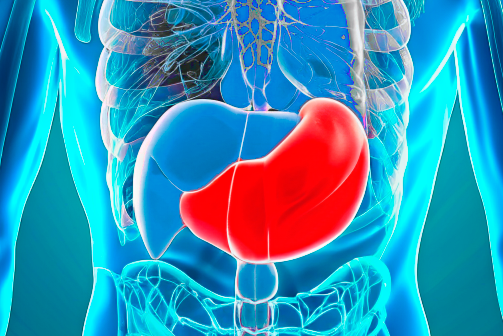 Гастроскопия, ЭГДС, ФГС, ФГДС, эндоскопия желудка, Алексей Корнеев, лучший врач, лучший центр, атрофия, метаплазия, Хеликобактер, H.Pylori, боль в животе, гастрит Гастроскопия, ЭГДС, ФГС, ФГДС, эндоскопия желудка, Алексей Корнеев, лучший врач, лучший центр, атрофия, метаплазия, Хеликобактер, H.Pylori, боль в животе, гастрит