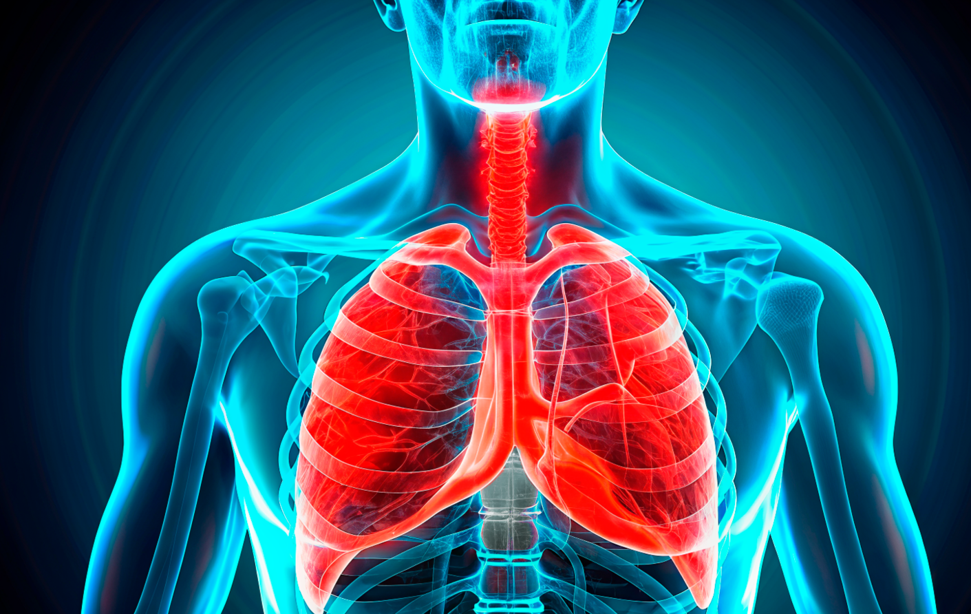 Бронхоскопия, Фибробронхоскопия, ФБС, эндоскопия бронхов, Алексей Корнеев, диагностика рака легкого, курение, кашель Бронхоскопия, Фибробронхоскопия, ФБС, эндоскопия бронхов, Алексей Корнеев, лучшая аппаратура, лучший врач